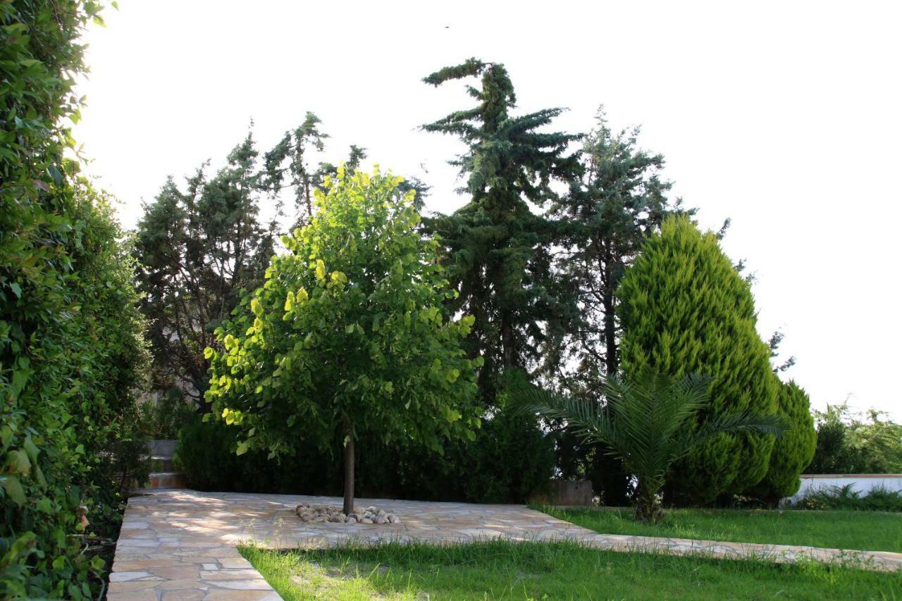 S&S Pura Vida Apartment Παλιούρι Εξωτερικό φωτογραφία